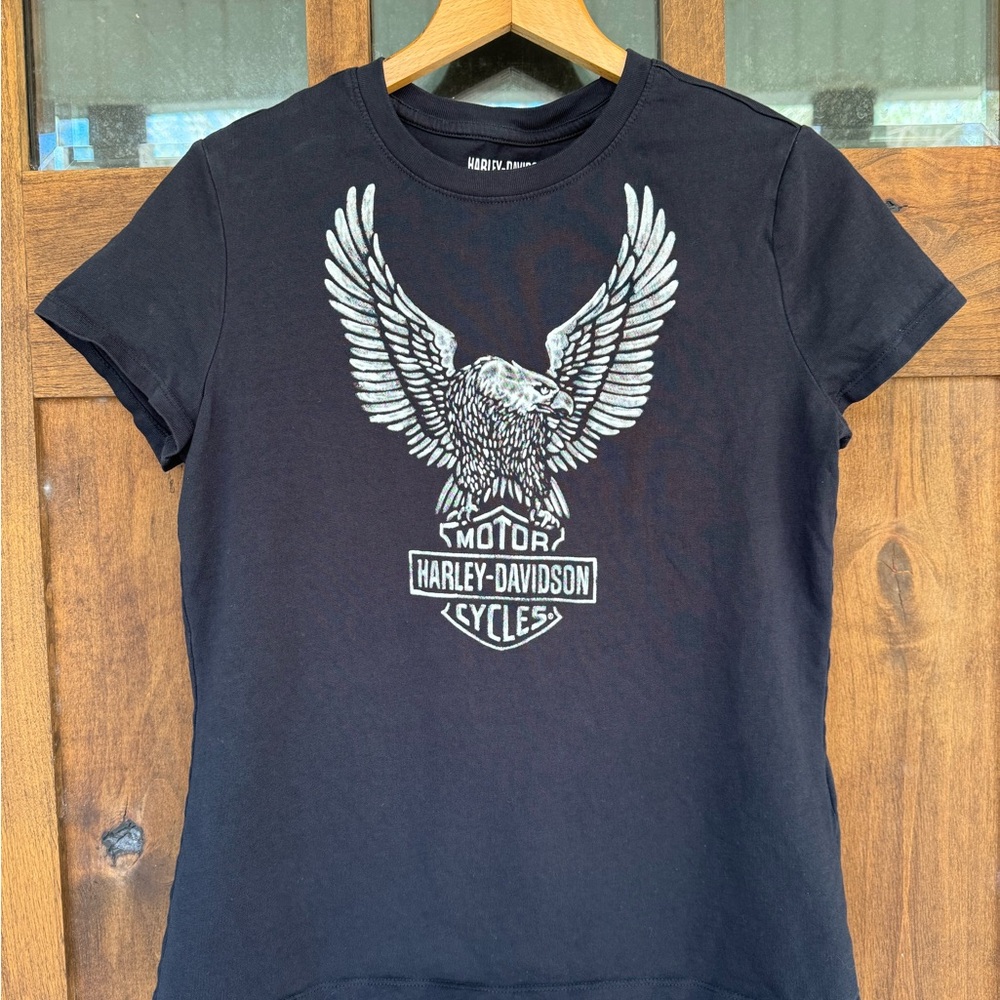 Harley-Davidson Bundle - Picture 12 of 16